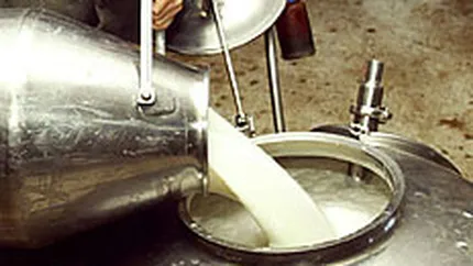 Cantitatea colectata de lapte de vaca a scazut cu 5,3% in ianuarie