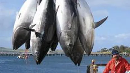 UE a decis sa sustina, alaturi de SUA, interzicerea comertului international cu ton rosu