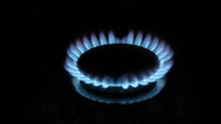 Boc: Politica ANRE este sa nu creasca pretul la gaze in 2010