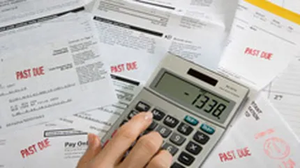 Mai putin de o cincime din companiile mari cu datorii la buget au cerut amanarea platilor