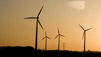 O companie britanica vrea sa dea 1,5 mil.euro pe un constructor roman de parcuri eoliene