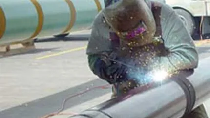 Transgaz vrea sa aloce jumatate din profit pe dividende si sa premieze angajatii cu 7,7 mil. lei