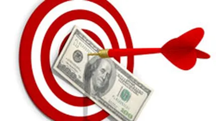 Veniturile The Group au scazut cu 25% in 2009