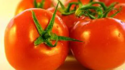 Calburean vrea sa produca anul acesta cu 20% mai multe rosii la sera geotermala