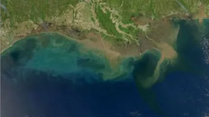 British Petroleum va suporta costurile de curatare a zonei din Golful Mexic poluate cu petrol