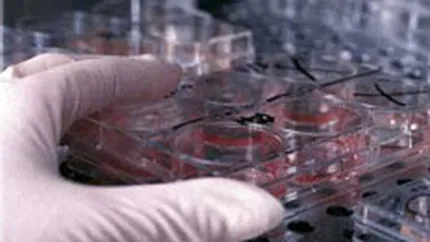 Concorde construieste primul centru de tratament cu celule stem din Romania