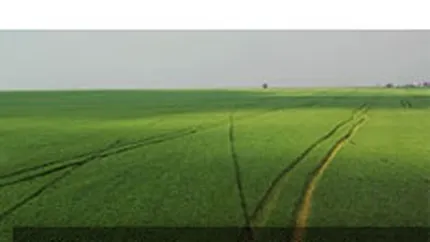 Nemtii de la Aton Transilvania angajeaza din mai 10 agenti de vanzari