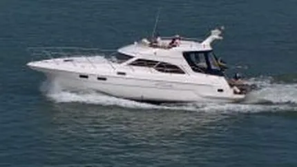 Guvernul vrea sa reintroduca accizele la produsele de lux, asumandu-si sanctiuni din partea CE