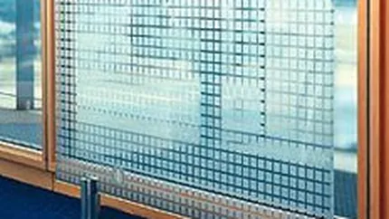 Francezii de la Saint-Gobain investesc 6 mil. euro intr-o linie noua de productie la Calarasi