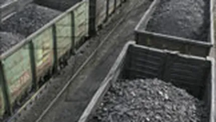 Productia de huila va fi subventionata cu 245,6 mil. lei in acest an, la fel ca in 2009