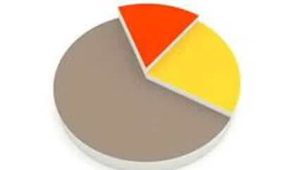 Munca le negru si frauda pe TVA au ajuns la 20,4% din PIB