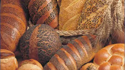 Moara Cibin ar putea fuziona cu Amylon, Panmed si Cerealcom