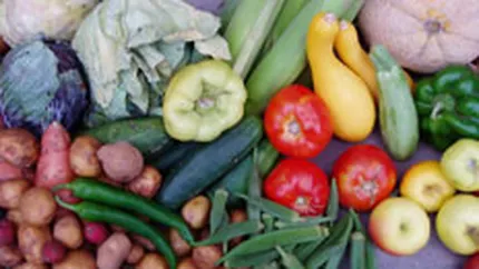 MADR propune subventionarea cu 45% a dobanzilor la creditele pentru producatorii agricoli