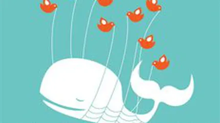 Twitter a inregistrat sambata noapte mesajul cu numarul 20 mld. Cat de repede a crescut reteaua sociala?