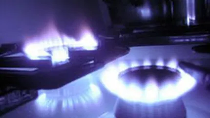 Videanu: Liberalizarea va aduce pretul gazelor din Romania la media din UE, nu la nivelul importurilor