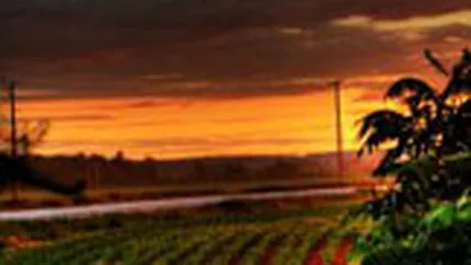 Romania, pe locul 8 in UE dupa fondurile europene atrase in agricultura