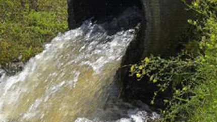 Shell si BASF au fost amendate in Brazilia cu 490 mil. euro pentru poluare