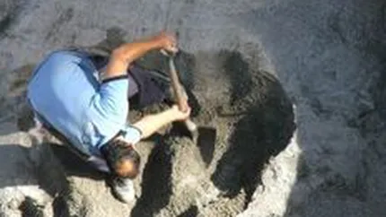 Dorel de Bulgaria: Trei vanzatori de fier vechi au taiat un cablu de fibra optica ce lega Germania de Asia