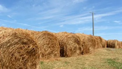 Rusia: Pierderile provocate de seceta in agricultura, estimate la 1,07 mld.$