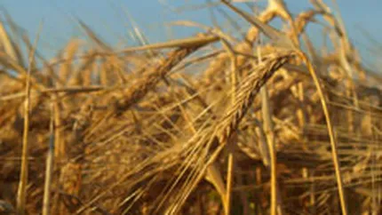 Ucraina renunta la limitarea exporturilor de cereale, dupa calmarea pietei mondiale