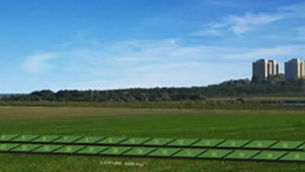 Cele mai citite articole ale saptamanii pe DailyBusiness.ro