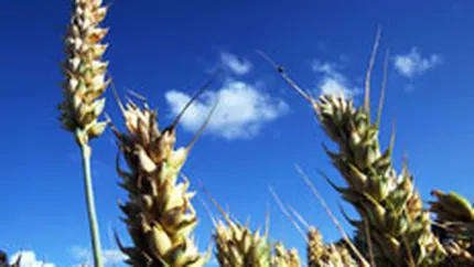 Subventiile agricole trebuie reduse la circa o treime din bugetul UE