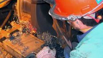 Care sunt cele mai banoase meserii