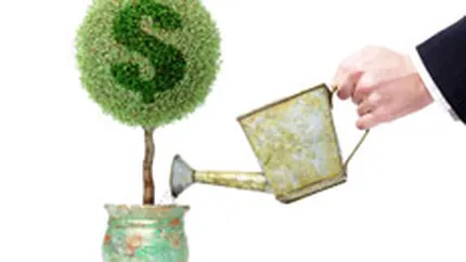 8 din 10 firme renunta la banii europeni