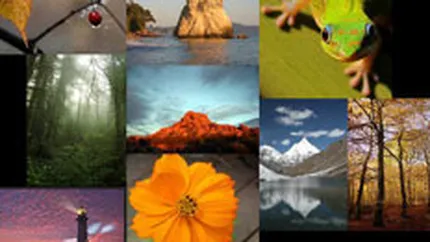 Google a pus gand rau JPEG-ului: Vrea sa-l inlocuiasca cu un format mai \suplu\