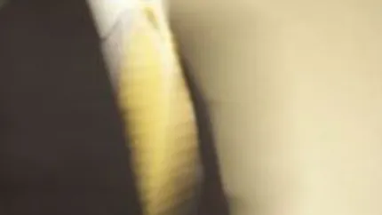 Cum arata un potential angajat in viziunea unor companii ca Google si Goldman Sachs