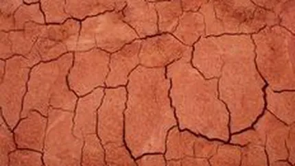 Compania aflata la originea catastrofei din Ungaria ar putea primi o amenda de 73 mil. euro