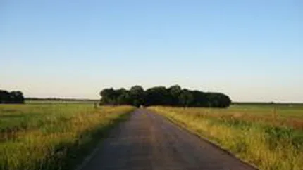 Studiu: Cererea de terenuri a scazut dramatic in septembrie, fata de aprilie