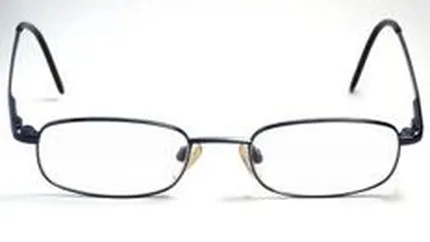 Parlamentarii ar putea obtine acces la documentele privatizarilor