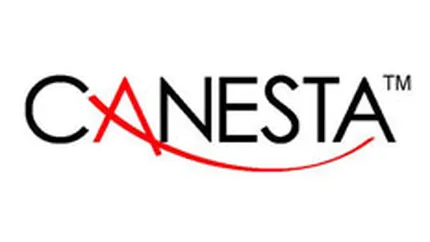 Microsoft a cumparat Canesta, lider in tehnologia 3D bazata pe miscarile corpului