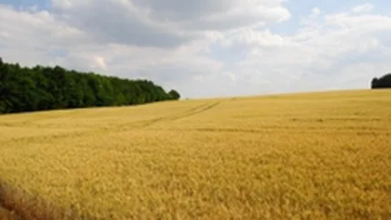Reuters: Investitorii straini au redevenit interesati de sectorul agricol al Balcanilor