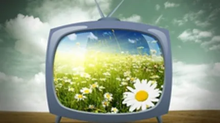 Al treilea trimestru, cel mai bun din an pentru piata bunurilor de folosinta indelungata, in ciuda cresterii TVA