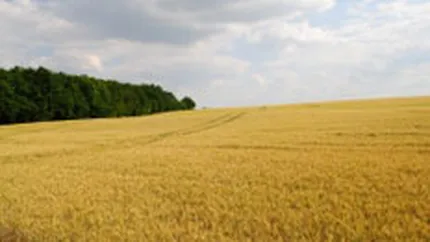 Ambasadorul Japoniei ne promite investitii in agricultura si mediu