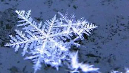 Weekend cu miros de sarbatori: Bucurestiul isi pregateste ghetele pentru Mos Nicolae