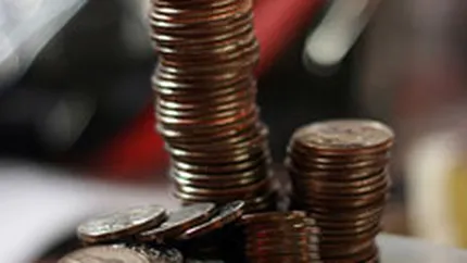 Investitiile straine directe in tarile in curs de dezvoltare au crescut cu 17% in 2010, la 416 mld.$