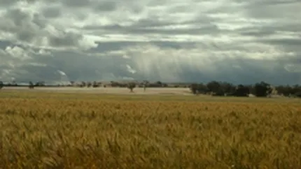 CE recomanda Romaniei si Bulgariei sa permita cetatenilor din UE achizitia de terenuri agricole