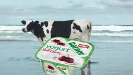 Nemtii de la Muller pompeaza 4,8 mil. euro in divizia de lactate din Romania