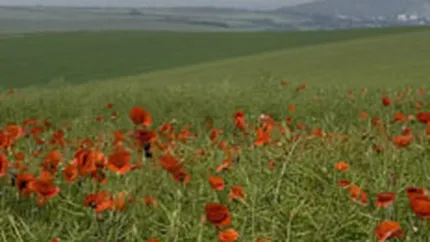 Guvernul pregateste impozitarea terenurilor nelucrate