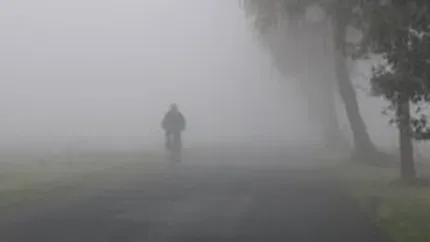 Ceata ingreuneaza circulatia pe mai multe drumuri nationale si pe cele doua autostrazi