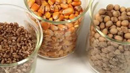 Analisti: Preturile marfurilor vor continua sa creasca si in prima parte a anului