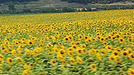 Cum ar arata agricultura, daca nu am mai importa alimente?