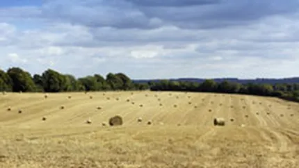 Romania ar putea fi amendata de CE cu 99 mil. euro