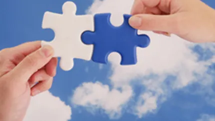 Joint-venture pe piata de research: M.S.Consulting si Alfa Cont