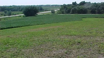 Colliers: Preturile terenurilor au scazut cu 15-30% in 2010