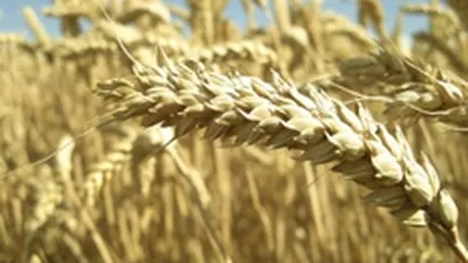 BM: Scumpirea alimentelor a impins 44 milioane de oameni in saracie