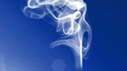 Cota de pe piata locala a BAT a crescut in 2010, insa vanzarile si profitul s-au redus